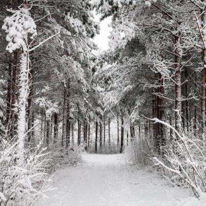 winter
