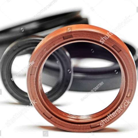 Oil Seal