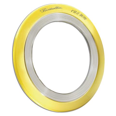 FLEXITALLIC - LS_PTFE