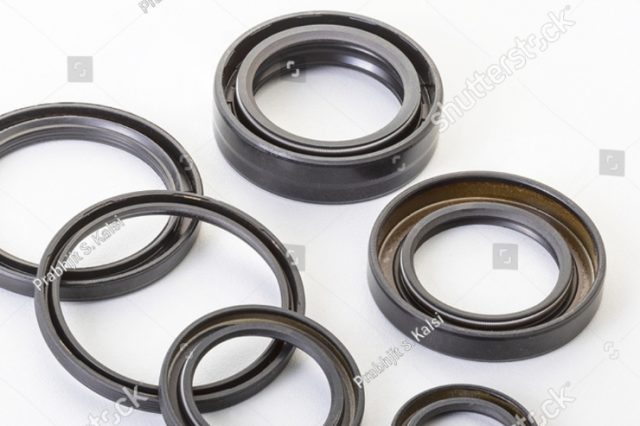 oil seals