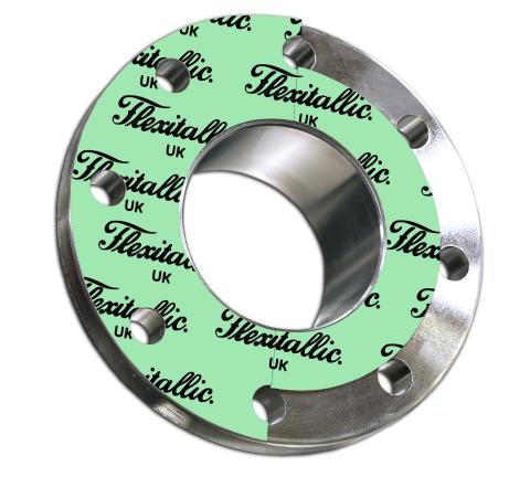 FLEXITALLIC - SF2401