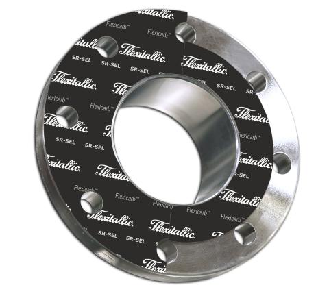 FLEXITALLIC - SR