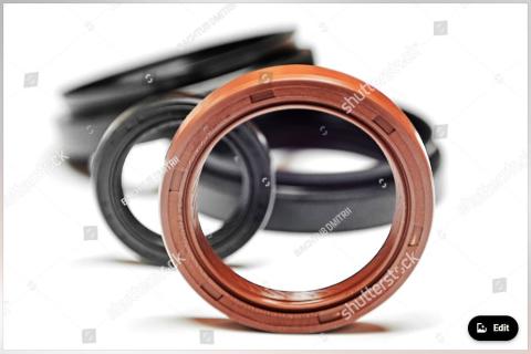 Oil Seal
